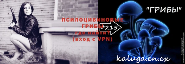 винт Бронницы