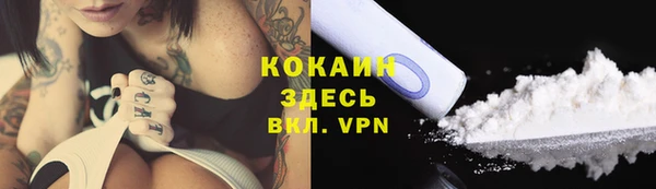 винт Бронницы