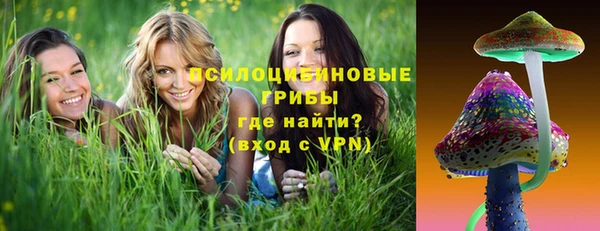 винт Бронницы