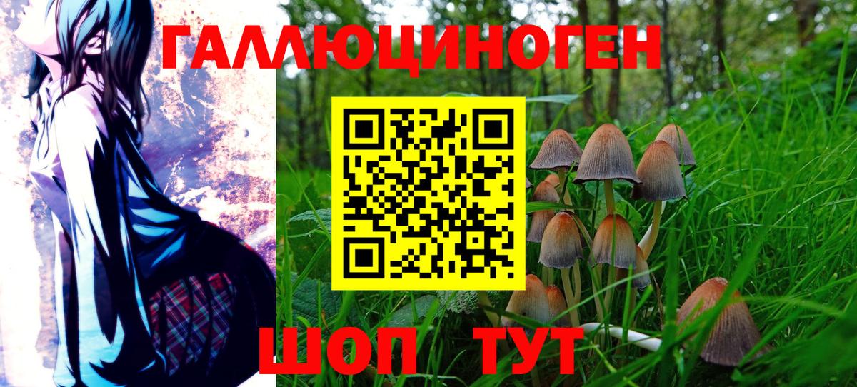 Галлюциногенные грибы прущие грибы  Вход с VPN  Галлюциногенные грибы мицелий  Мончегорск 